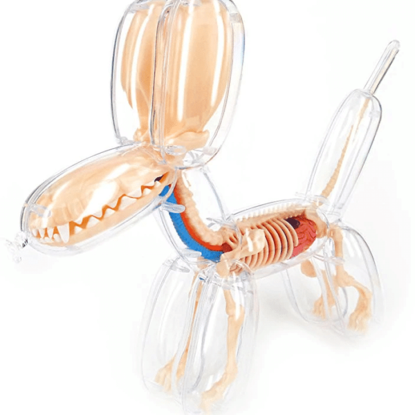 Balloon Dog Anatomy - Jason Freeny