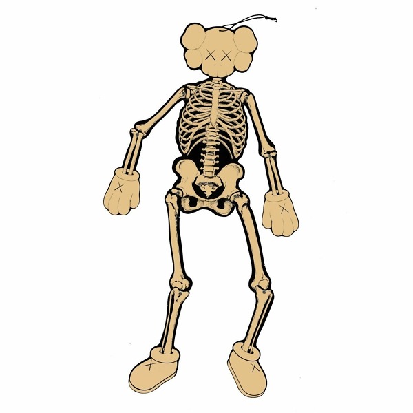 Kaws Skeleton Bone Board